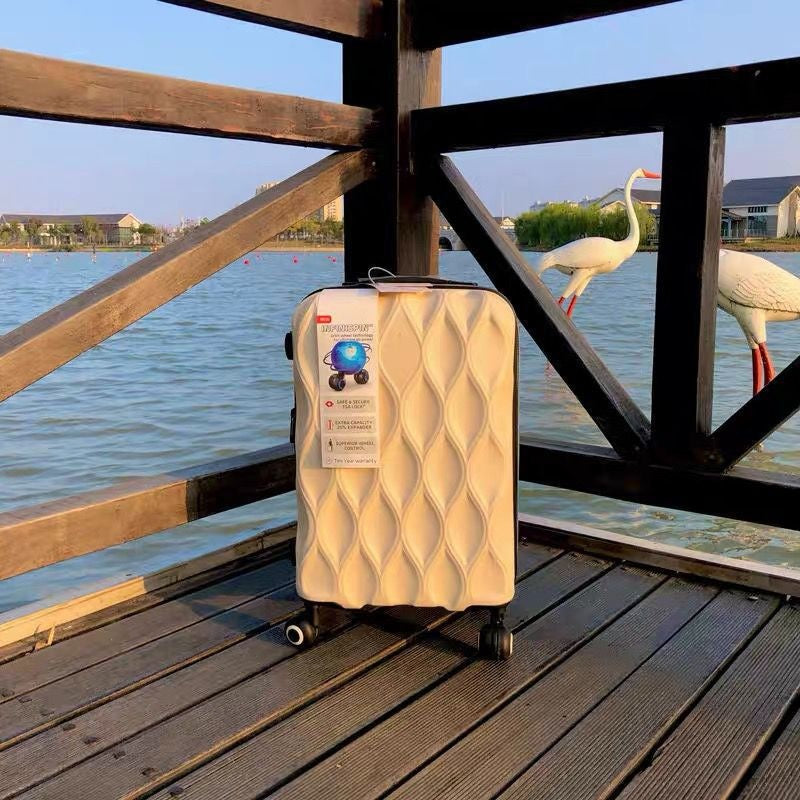 Pro Series 20" Carry-On Suitcase with TSA Lock